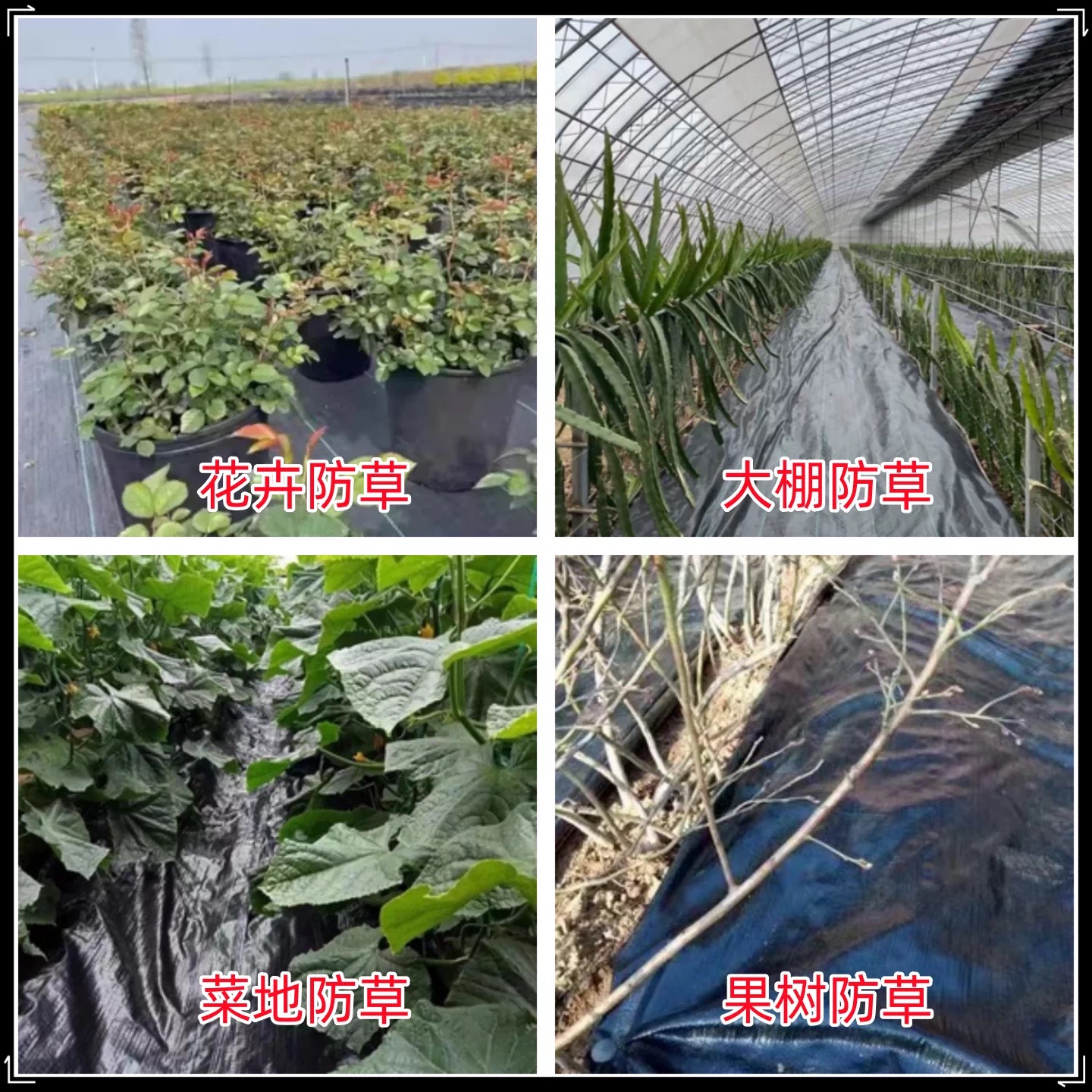 广元市大棚膜防草布 - 一站式服务